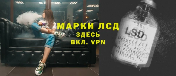 прущие грибы Арсеньев