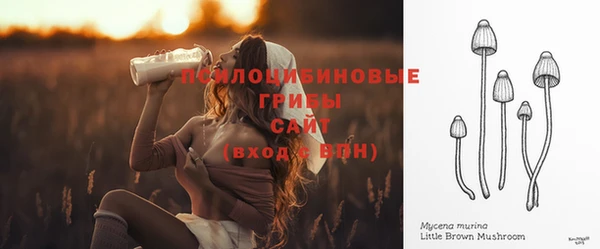 сатива Армянск