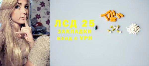 прущие грибы Арсеньев