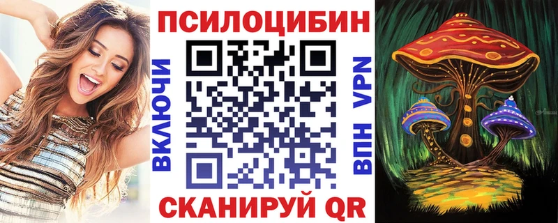 Псилоцибиновые грибы Cubensis Георгиевск