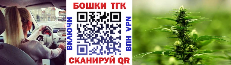 Бошки Шишки планчик  Георгиевск 